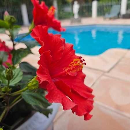Les Jardins Du Patriarche Hotel Agde Eksteriør billede