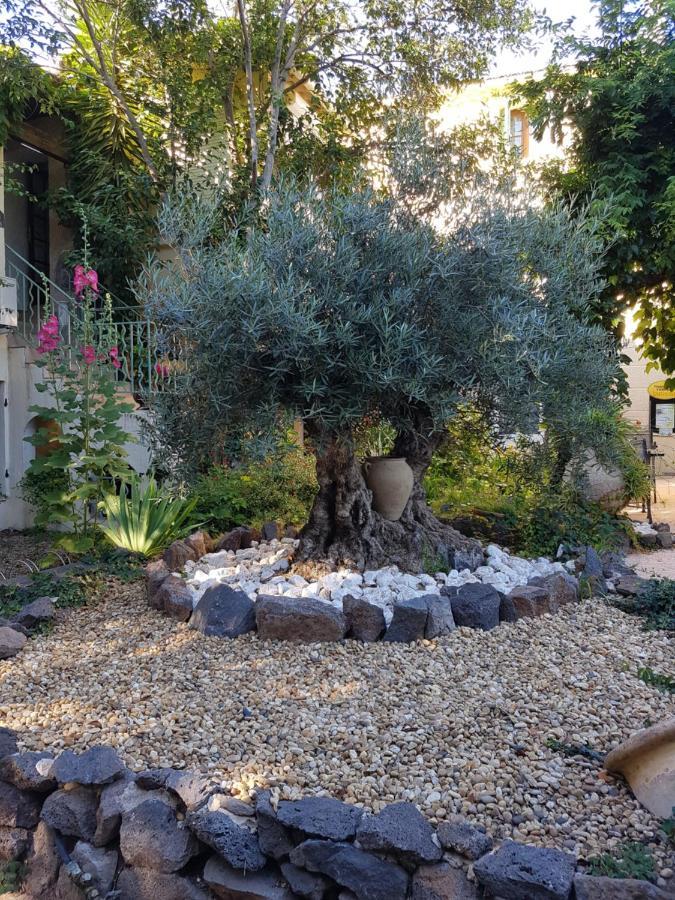 Les Jardins Du Patriarche Hotel Agde Eksteriør billede