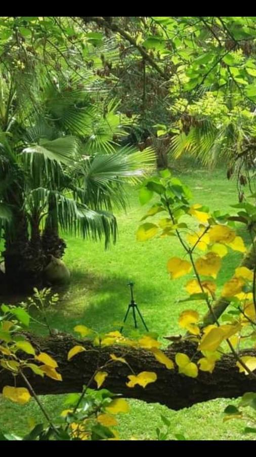 Les Jardins Du Patriarche Hotel Agde Eksteriør billede