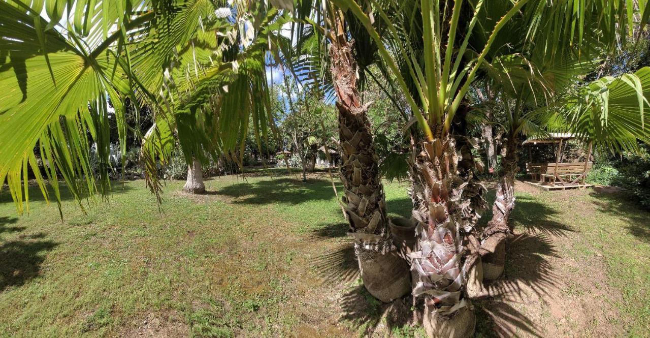 Les Jardins Du Patriarche Hotel Agde Eksteriør billede