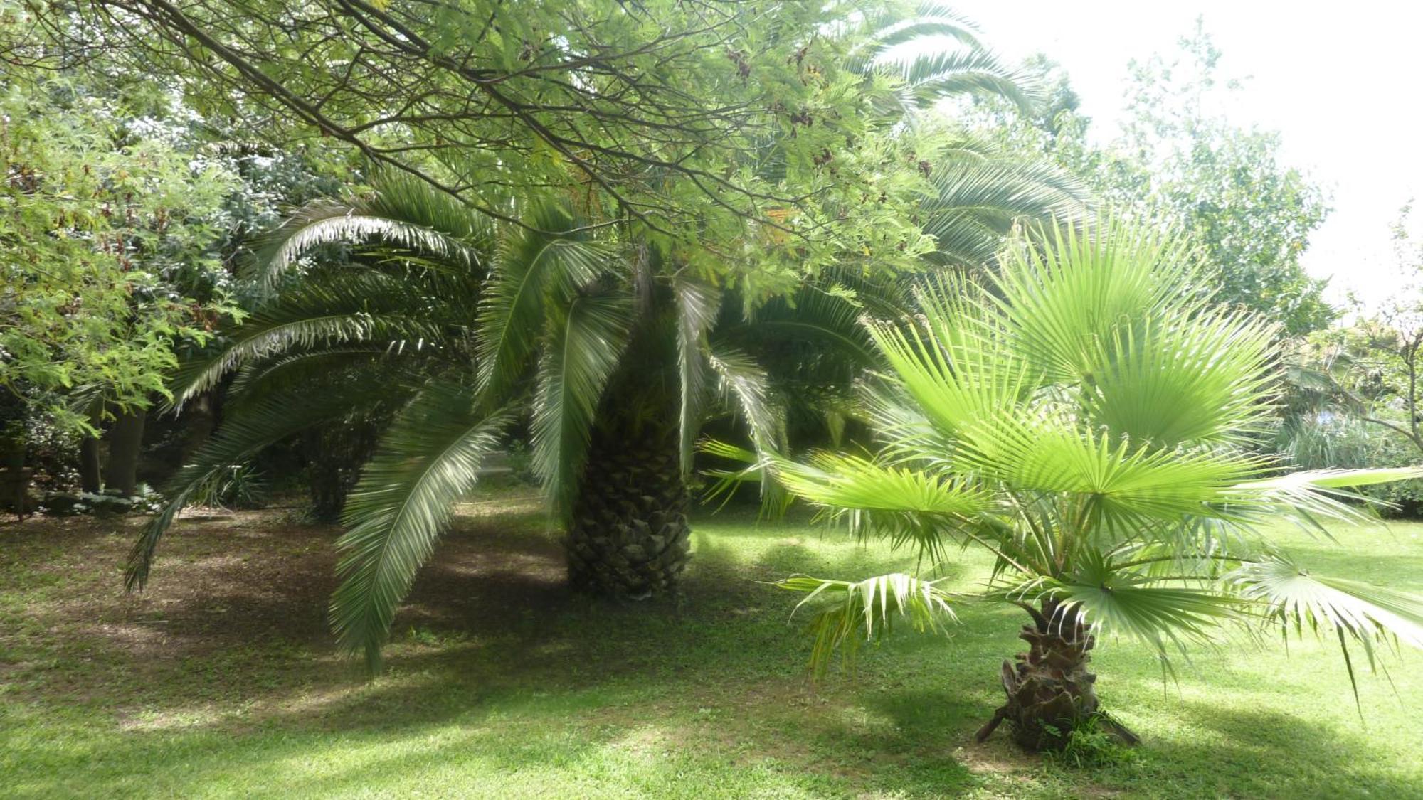 Les Jardins Du Patriarche Hotel Agde Eksteriør billede