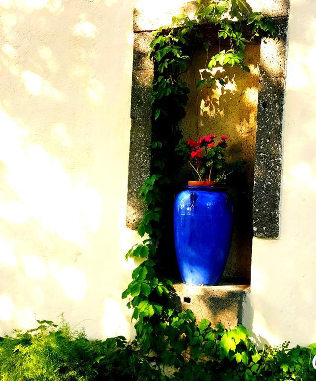 Les Jardins Du Patriarche Hotel Agde Eksteriør billede