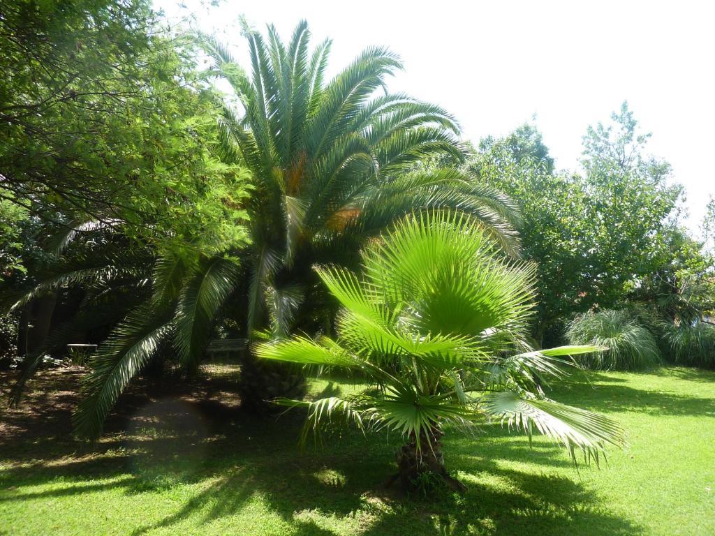 Les Jardins Du Patriarche Hotel Agde Eksteriør billede
